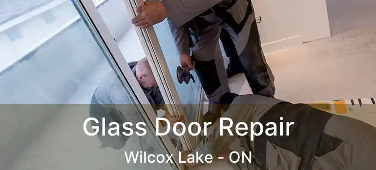  Glass Door Repair Wilcox Lake - ON