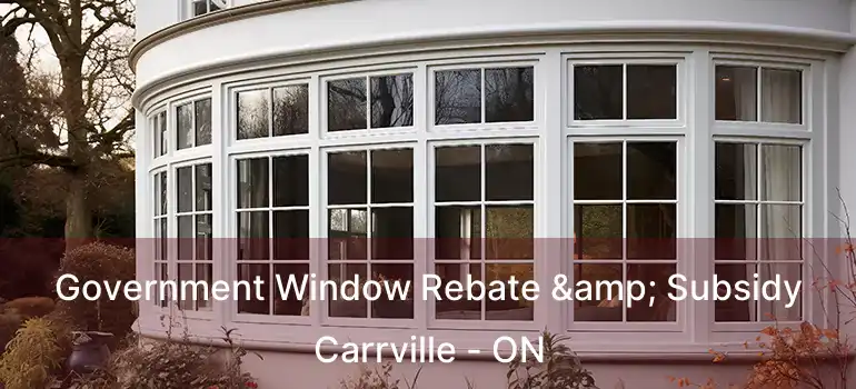  Government Window Rebate & Subsidy Carrville - ON