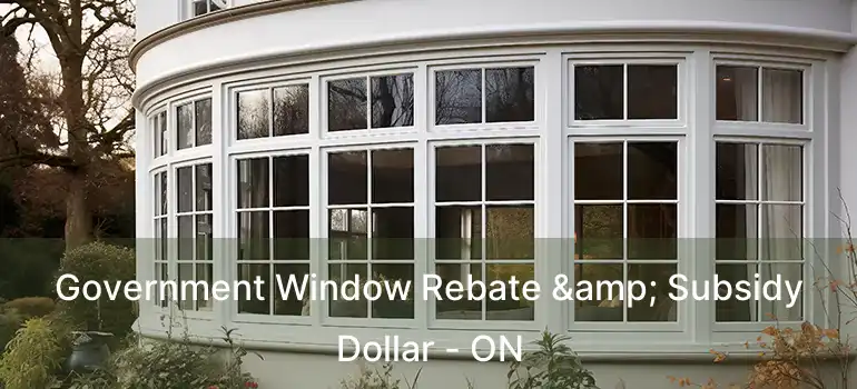  Government Window Rebate & Subsidy Dollar - ON