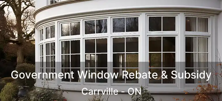  Government Window Rebate & Subsidy Carrville - ON