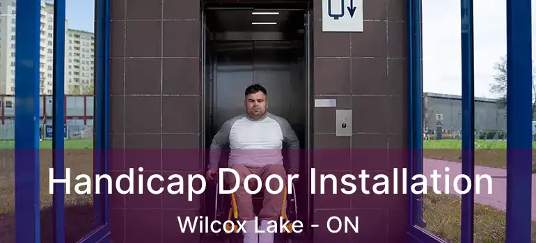  Handicap Door Installation Wilcox Lake - ON