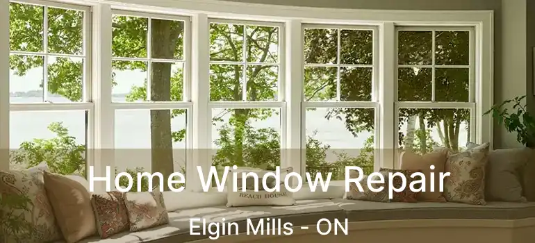  Home Window Repair Elgin Mills - ON