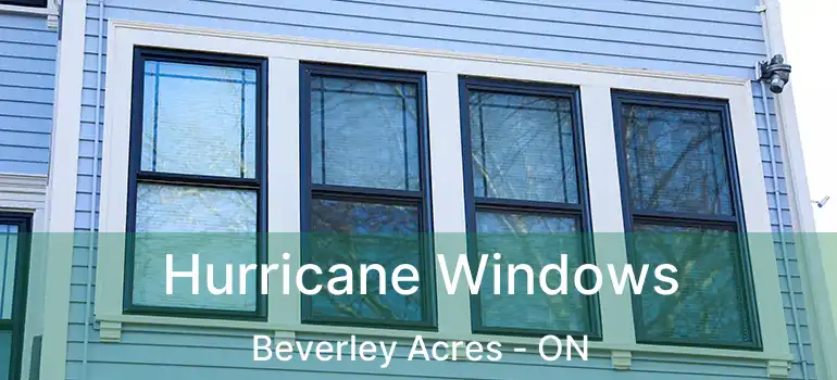  Hurricane Windows Beverley Acres - ON