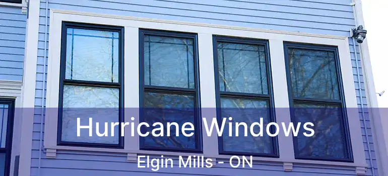 Hurricane Windows Elgin Mills - ON