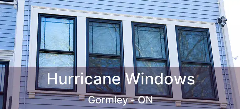  Hurricane Windows Gormley - ON