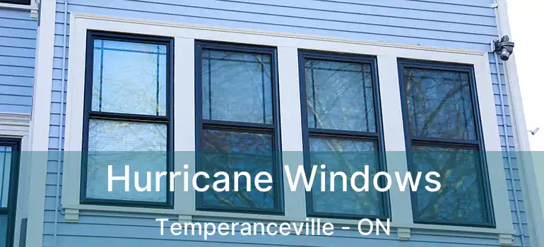  Hurricane Windows Temperanceville - ON