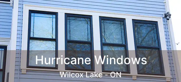  Hurricane Windows Wilcox Lake - ON