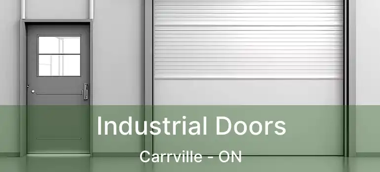  Industrial Doors Carrville - ON