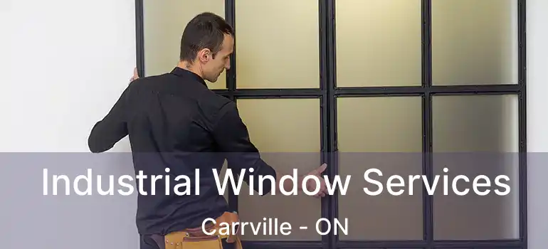  Industrial Window Services Carrville - ON