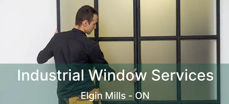  Industrial Window Services Elgin Mills - ON