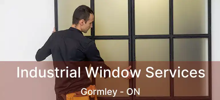  Industrial Window Services Gormley - ON