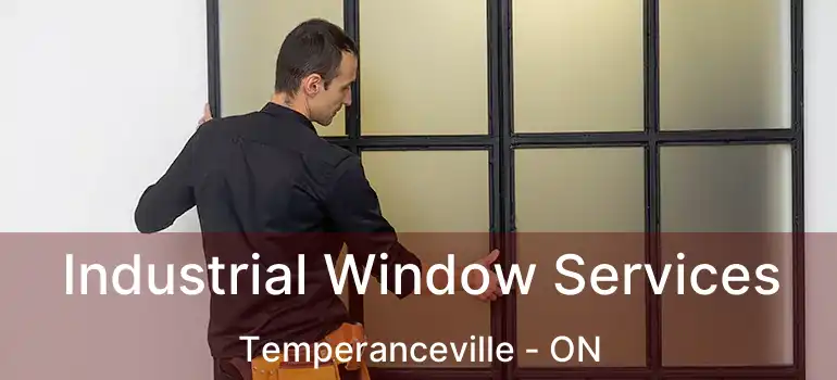  Industrial Window Services Temperanceville - ON