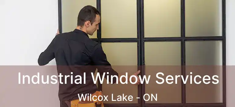  Industrial Window Services Wilcox Lake - ON