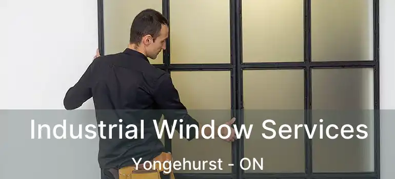  Industrial Window Services Yongehurst - ON