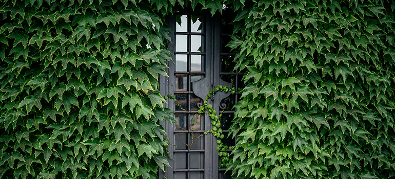Garden Gate Repair in Langstaff, ON