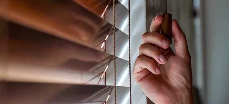 Double Roller Blinds in Richmond Hill, Ontario