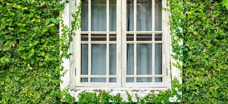 arden Window Repair Near Me in Langstaff, ON