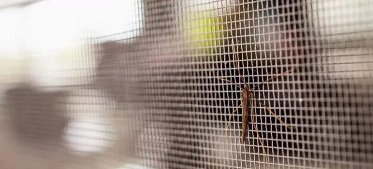 Repair Mosquito Mesh For Windows in Richmond Hill, Ontario