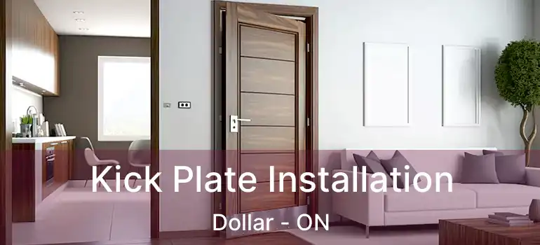  Kick Plate Installation Dollar - ON