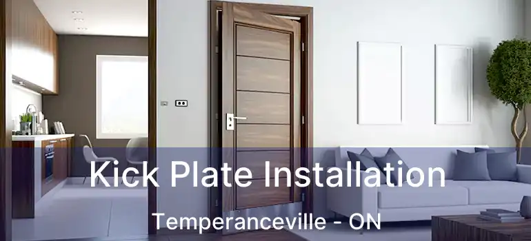  Kick Plate Installation Temperanceville - ON