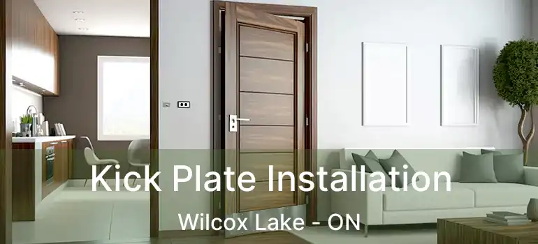  Kick Plate Installation Wilcox Lake - ON