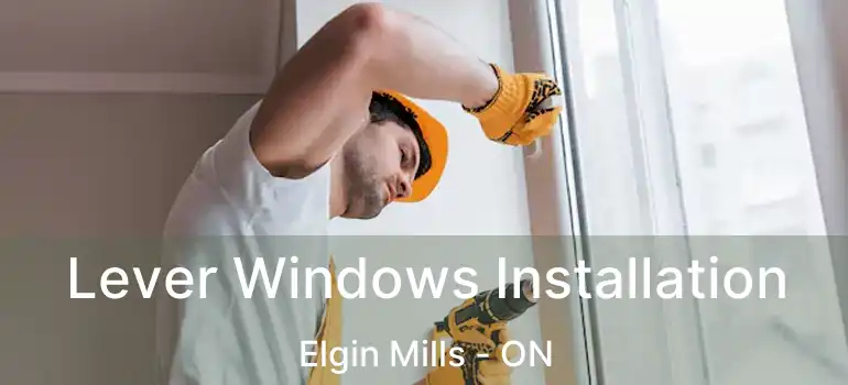  Lever Windows Installation Elgin Mills - ON