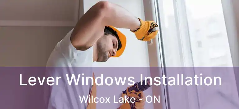  Lever Windows Installation Wilcox Lake - ON