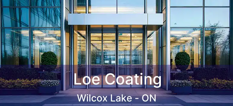  Loe Coating Wilcox Lake - ON