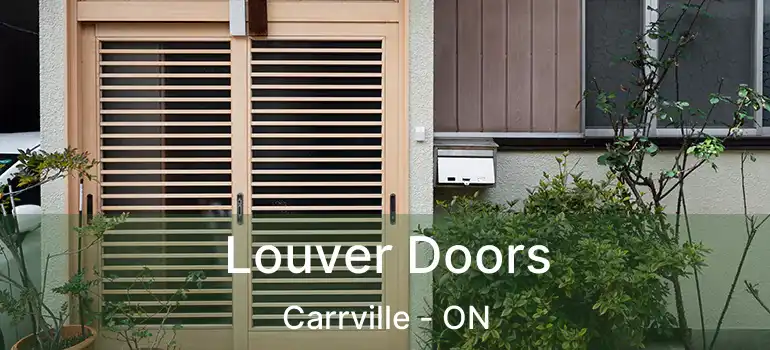  Louver Doors Carrville - ON