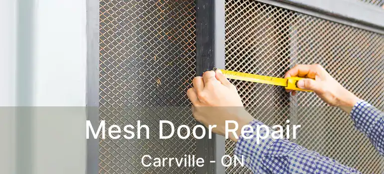  Mesh Door Repair Carrville - ON