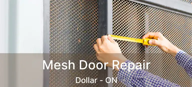  Mesh Door Repair Dollar - ON