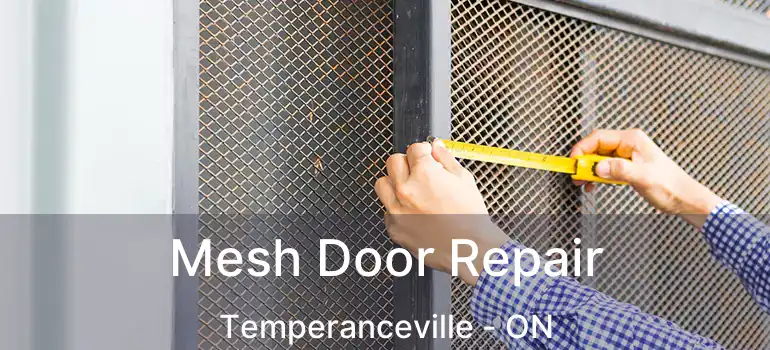  Mesh Door Repair Temperanceville - ON