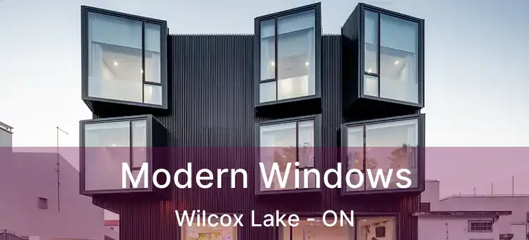  Modern Windows Wilcox Lake - ON