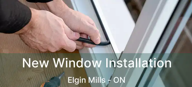  New Window Installation Elgin Mills - ON
