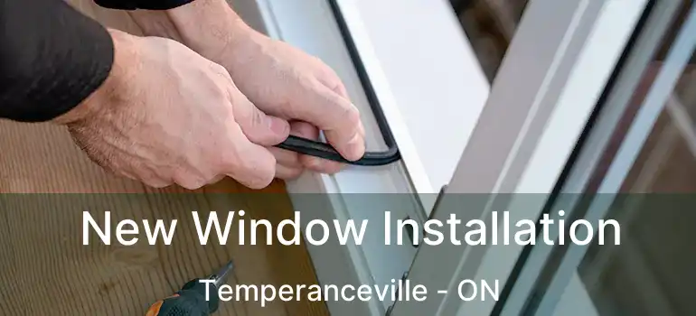  New Window Installation Temperanceville - ON
