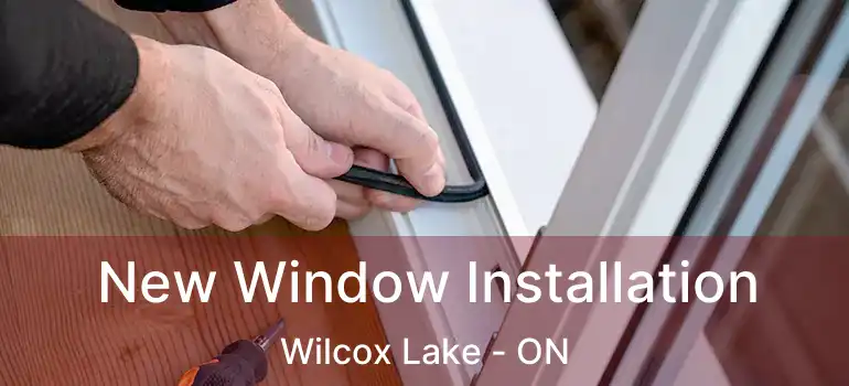  New Window Installation Wilcox Lake - ON
