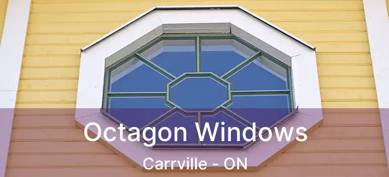  Octagon Windows Carrville - ON