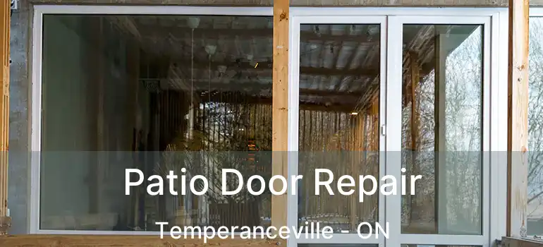  Patio Door Repair Temperanceville - ON
