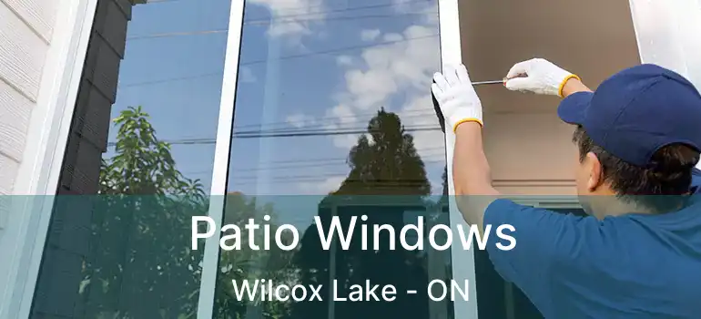  Patio Windows Wilcox Lake - ON