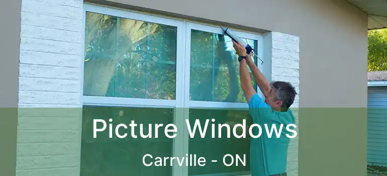  Picture Windows Carrville - ON