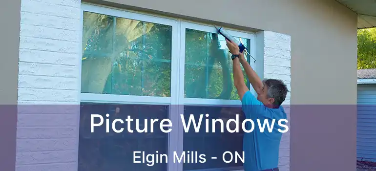  Picture Windows Elgin Mills - ON