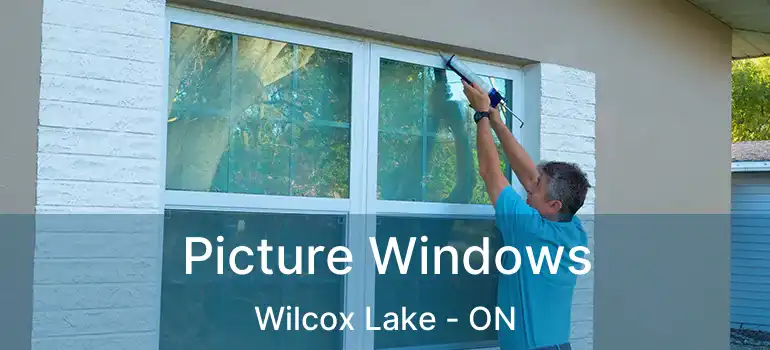  Picture Windows Wilcox Lake - ON