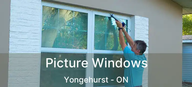  Picture Windows Yongehurst - ON