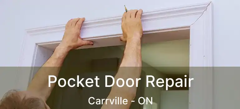  Pocket Door Repair Carrville - ON