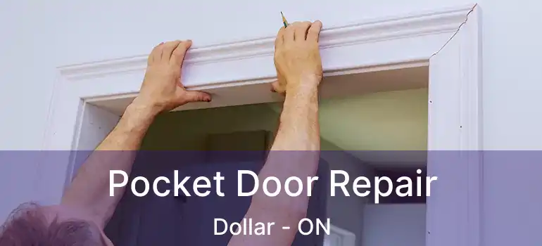  Pocket Door Repair Dollar - ON