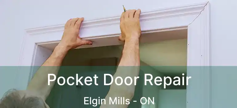  Pocket Door Repair Elgin Mills - ON