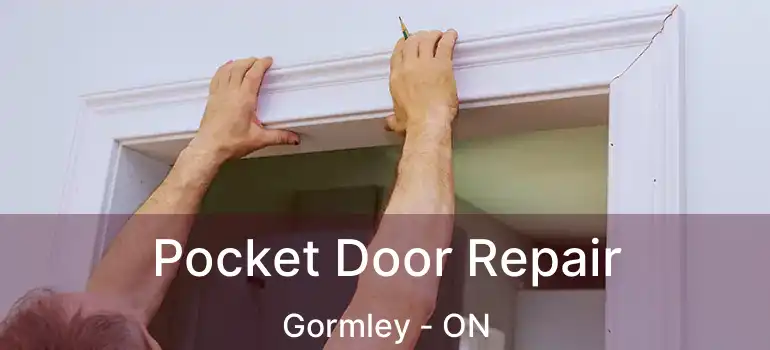  Pocket Door Repair Gormley - ON