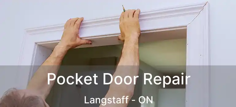  Pocket Door Repair Langstaff - ON
