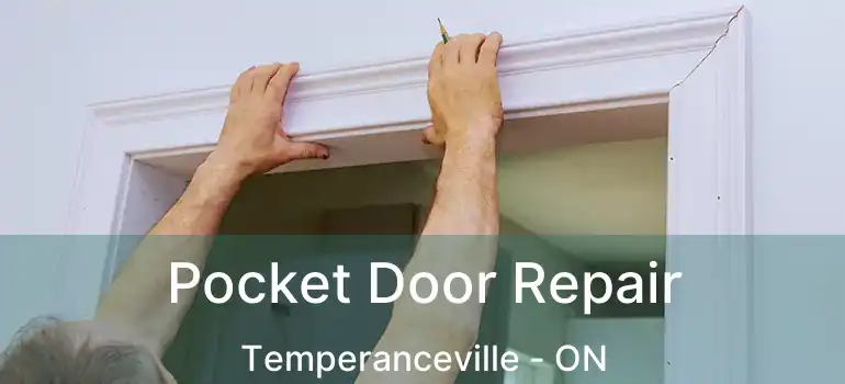  Pocket Door Repair Temperanceville - ON