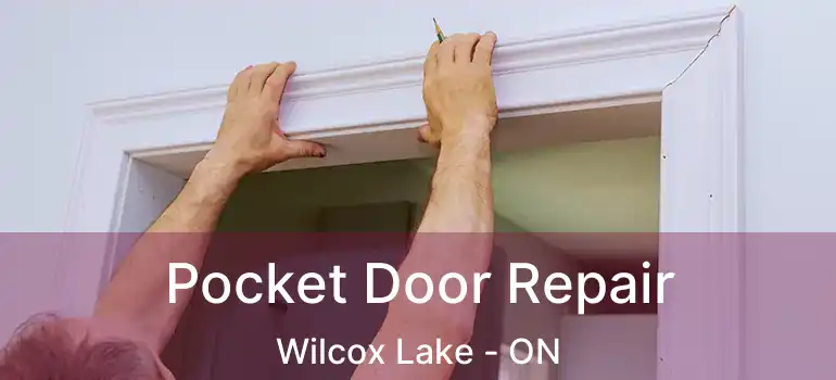  Pocket Door Repair Wilcox Lake - ON